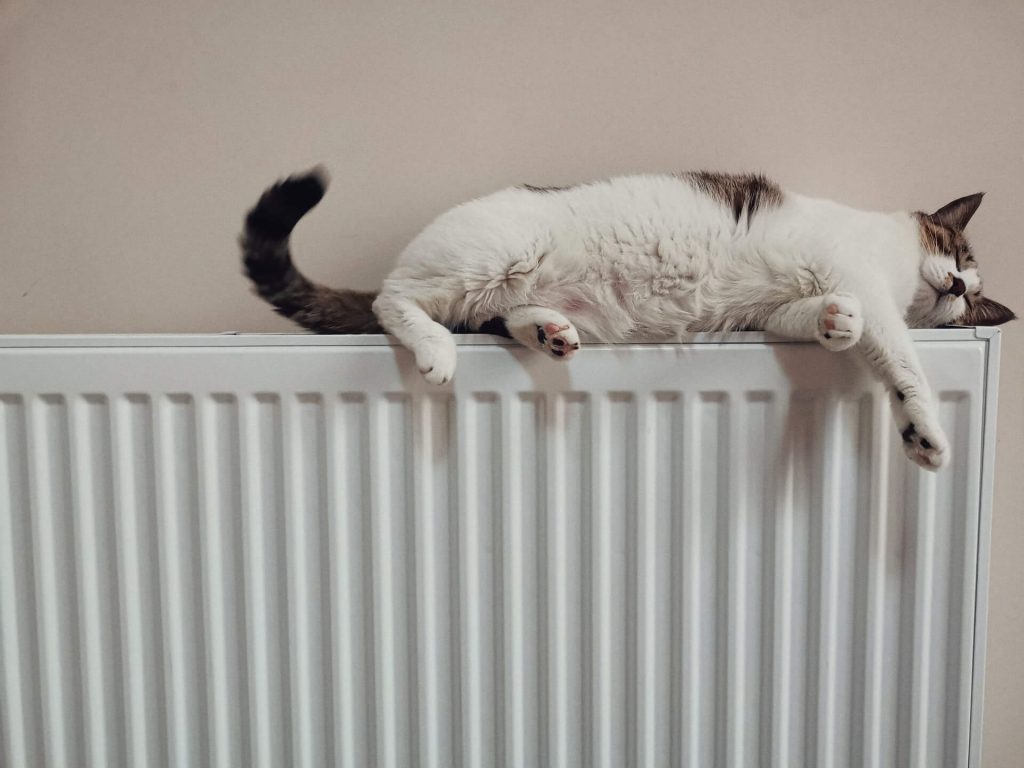 bleeding a radiator